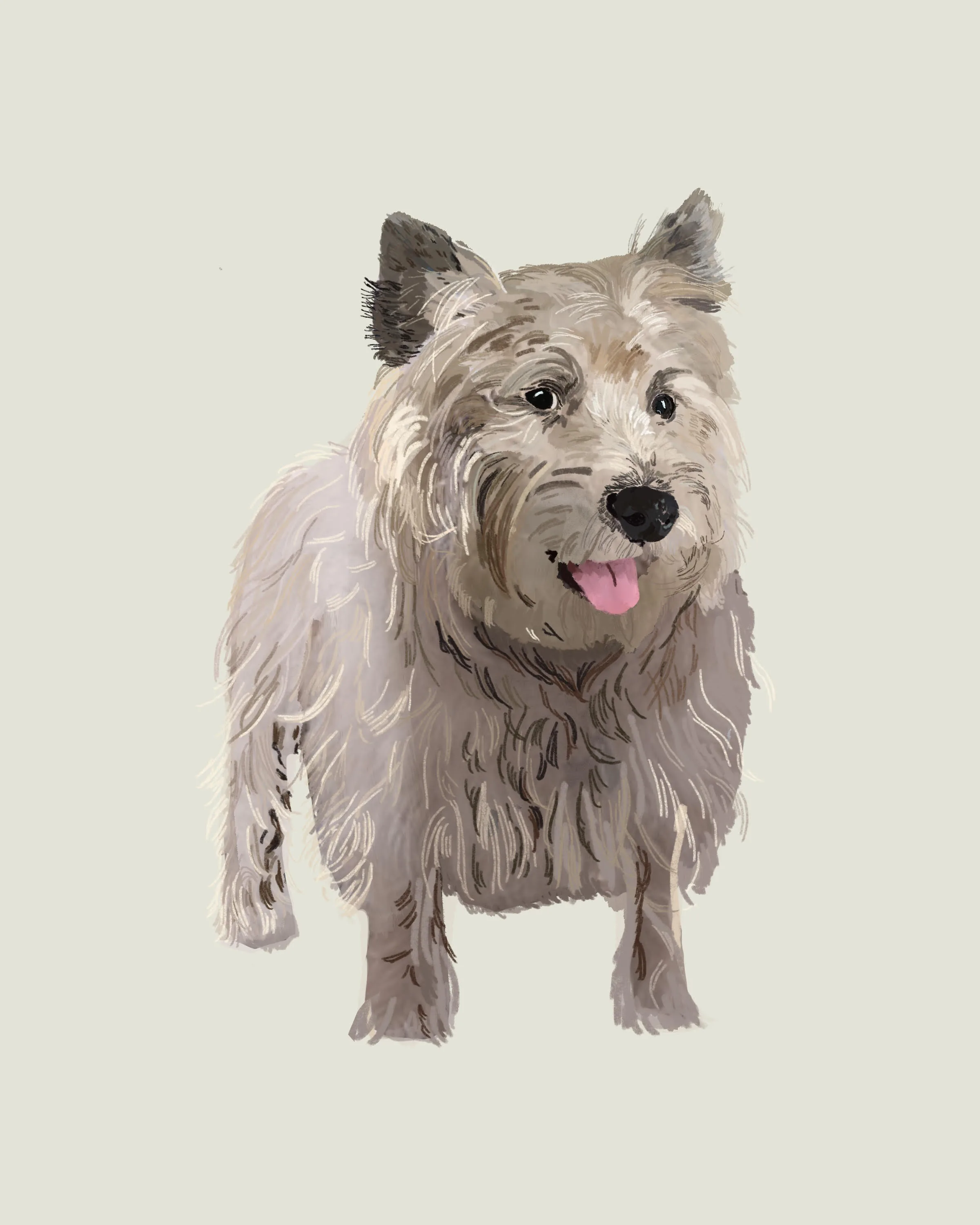 Buddy, a scruffy Cairn Terrier, painted in watercolor